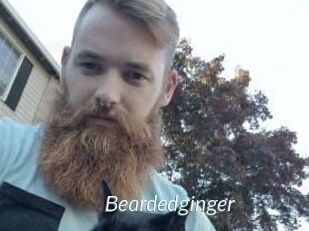 Beardedginger