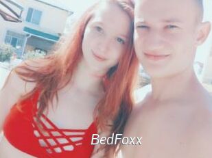 BedFoxx