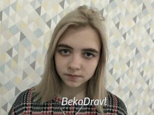 BekaDravt