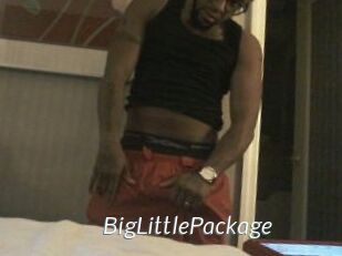 BigLittlePackage