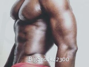 BigSnack42300