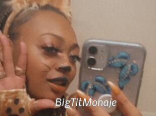 BigTitMonaje