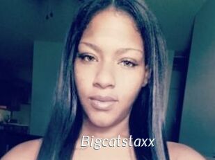 Bigcatstaxx