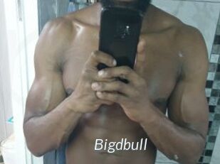Bigdbull