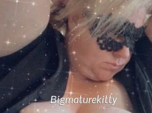 Bigmaturekitty