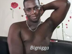 Bignigga