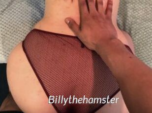 Billythehamster