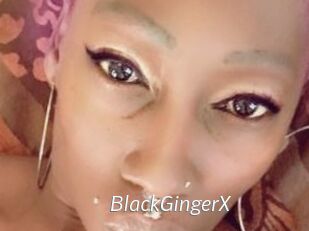 BlackGingerX