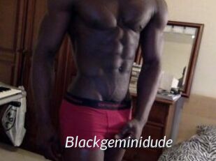 Blackgeminidude