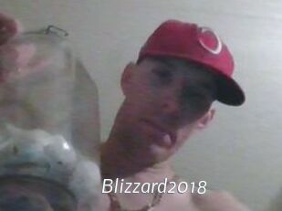 Blizzard2018