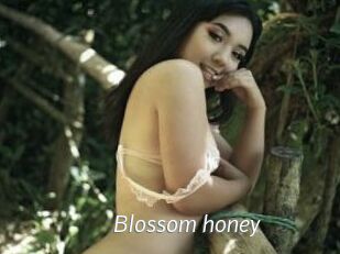Blossom_honey