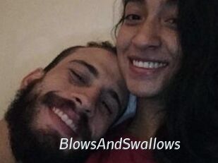 BlowsAndSwallows