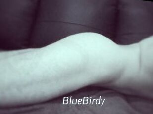 BlueBirdy