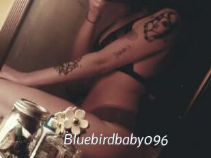 Bluebirdbaby096