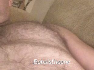 Bobsistheone