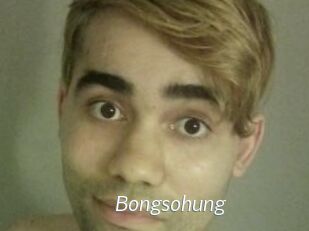 Bongsohung