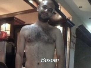 Bosom
