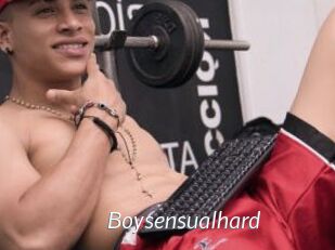 Boysensualhard