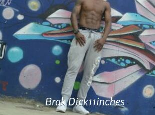 Brak_Dick11inches