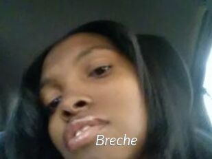 Breche