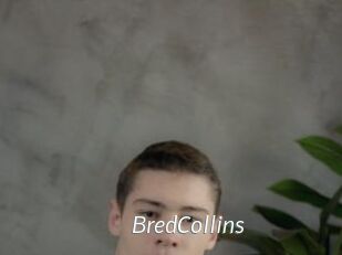 BredCollins