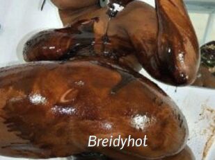 Breidyhot