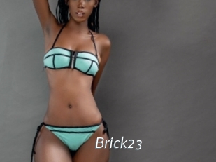 Brick23 Porn Star