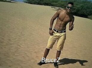 BruceZ
