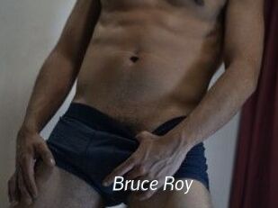 Bruce_Roy