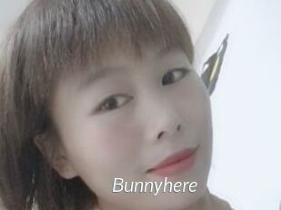 Bunnyhere