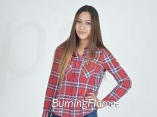 BurningFlamee