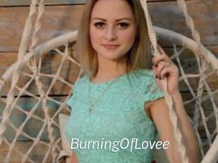 BurningOfLovee