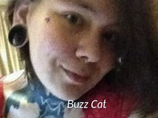 Buzz_Cat