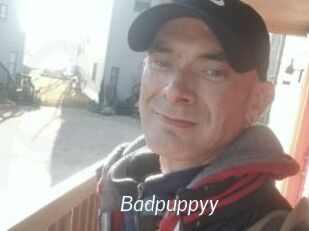 Badpuppyy