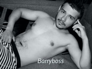 Barryboss