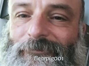Bearpig001