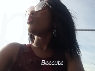 Beecute