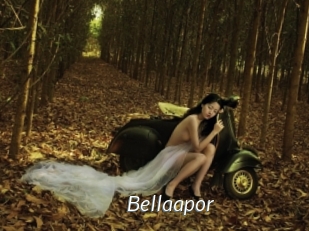 Bellaapor