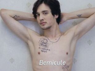 Bernicute