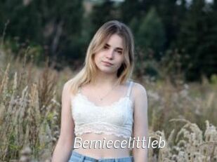 Berniecelittleb