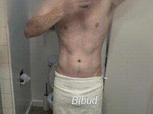 Bibud