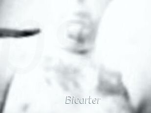 Bicarter