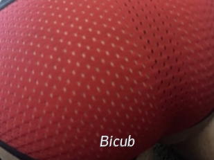 Bicub