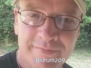 Bidrum209