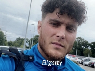 Bigarty