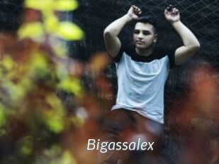 Bigassalex
