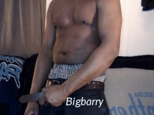 Bigbarry
