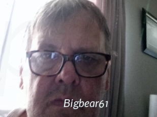 Bigbear61