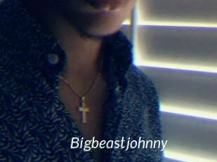 Bigbeastjohnny