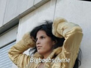 Bigboobscherie